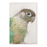 Chirpy Charm: Conure Portrait Area Rug