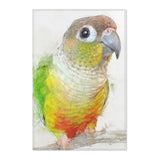 Feathered Friend: Conure Art Rug