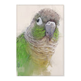 Conure Bliss: Whimsical Area Rug