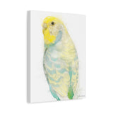 Tropical Breeze: Yellow and Turquoise Budgie