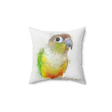 Pineapple Conure Elegance Pillow II