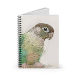 Conure Captures Spiral Notebook