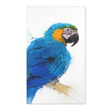 Blue and Yellow Perfection: Macaw Design Rug