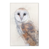 Nocturnal Grace: Barn Owl Portrait Area Rug