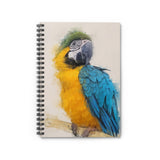 Jungle Jewels: A Macaw Parrot Journal