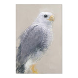 Steely Gaze: Gray Hawk Portrait Rug