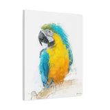 lue & Yellow Macaw – Tropical Bird Wall Art