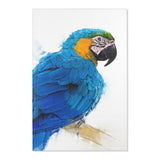 Blue and Yellow Perfection: Macaw Design Rug