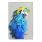 Macaw Beauty: Colorful Area Rug