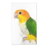 Caique Parrot Bliss: Whimsical Area Rug