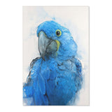 Feathered Friend: Hyacinth Art Rug