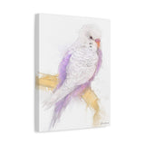 Lavender Whisper: Violet and White Budgie Portrait