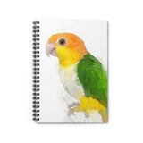 Caique Creations: A Notebook of Bright Ideas