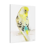 Golden Whisper: Yellow and White Budgie Portrait