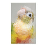 Conure Beauty: Colorful Area Rug