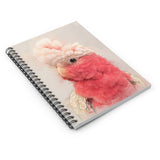 Galah Cockatoo Captures Spiral Notebook