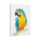 lue & Yellow Macaw – Tropical Bird Wall Art