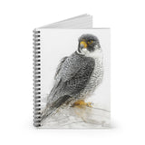 Peregrine Falcon Portrait Notebook