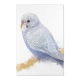 Chirpy Charm: Budgie Portrait Area Rug