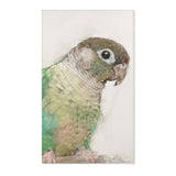 Chirpy Charm: Conure Portrait Area Rug