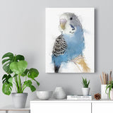 Sapphire Skies: The Elegance of a Blue Budgie