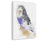 Harmony in Lavender and Ivory: A Budgie's Delight