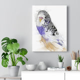 Harmony in Lavender and Ivory: A Budgie's Delight