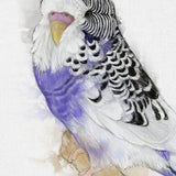 Harmony in Lavender and Ivory: A Budgie's Delight