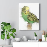 Emerald Harmony: A Green and Yellow Budgie's Portrait