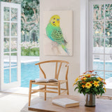 Turquoise & Sunshine Budgie Canvas Wall Art