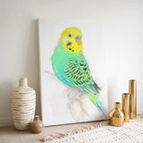 Bright Spirit Budgie