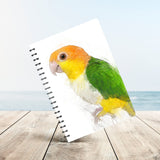 Caique Creations: A Notebook of Bright Ideas