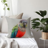 Conure Elegance Pillow V