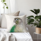 Conure Elegance Pillow IV