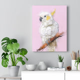 Yellow Crested Cockatoo Canvas No.16