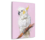 Yellow Crested Cockatoo Canvas No.16