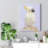 Yellow Crested Cockatoo Canvas No.20