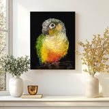 Green Cheeked Conure Portrait – Canvas Art with Black Background