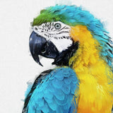 Tropical Vibrance: Blue and Yellow Macaw Canvas Wall Art 2