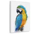 Tropical Vibrance: Blue and Yellow Macaw Canvas Wall Art 2