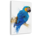 Tropical Vibrance: Blue and Yellow Macaw Canvas Wall Art 3