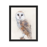 Wings of Wisdom Barn Owl Framed Print