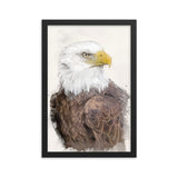 Majestic Freedom Bald Eagle Framed Print