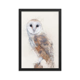 Wings of Wisdom Barn Owl Framed Print