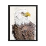 Majestic Freedom Bald Eagle Framed Print