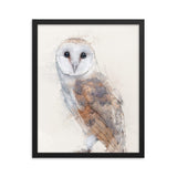 Wings of Wisdom Barn Owl Framed Print