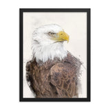 Majestic Freedom Bald Eagle Framed Print