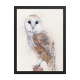 Wings of Wisdom Barn Owl Framed Print