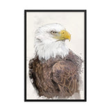 Majestic Freedom Bald Eagle Framed Print