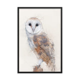 Wings of Wisdom Barn Owl Framed Print